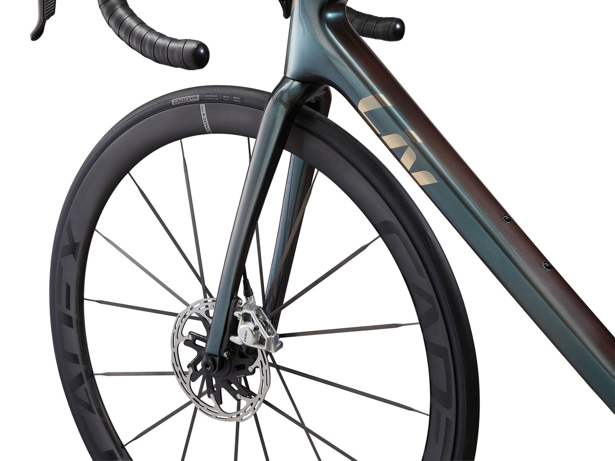 Langma Advanced SL - Tahitian Pearl