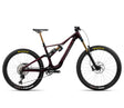RALLON M-TEAM Wine Red Carbon View (Gloss)