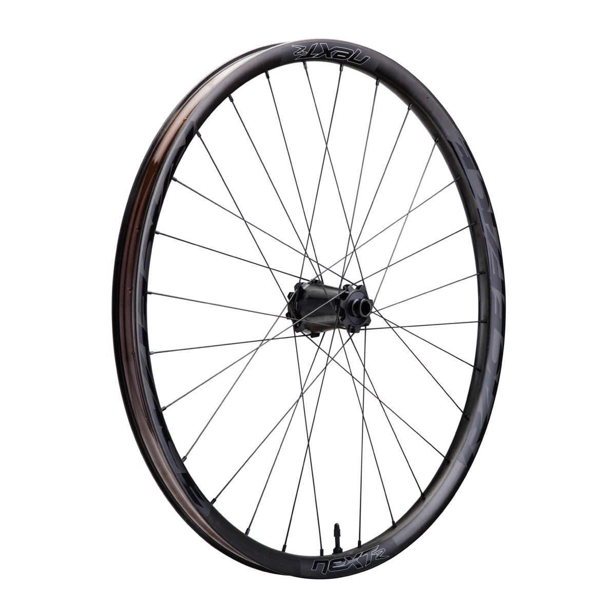 Next R Vorderrad 29 Zoll 15x100