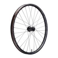 Next R voorwiel 29 inch 15x100