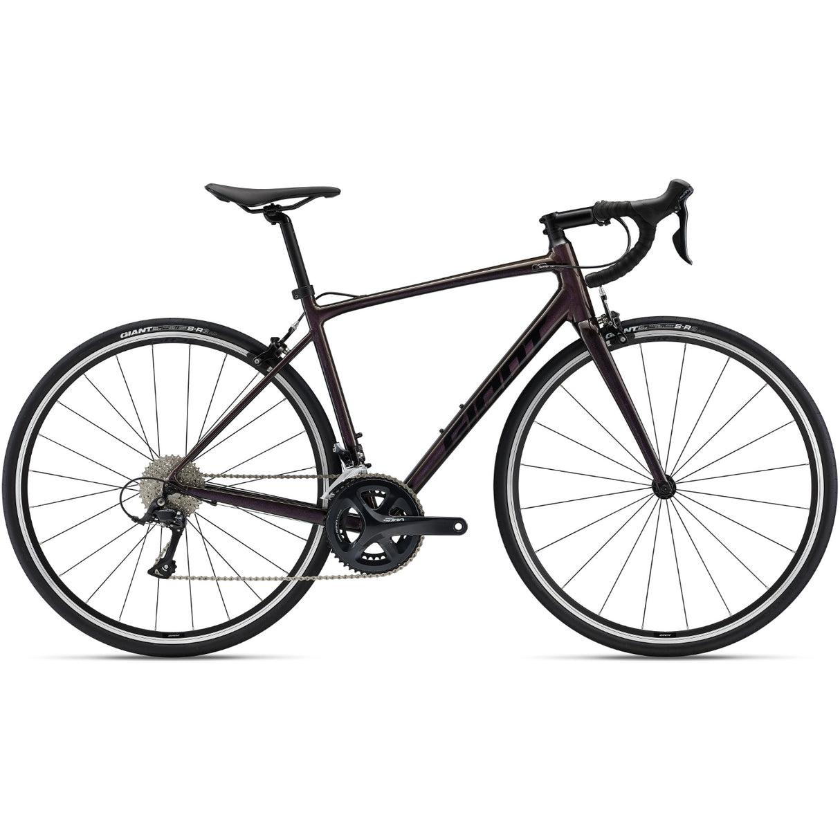 Contend 1 (Rim) - Rosewood