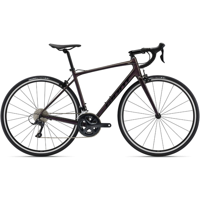 Contend 1 (Rim) - Rosewood