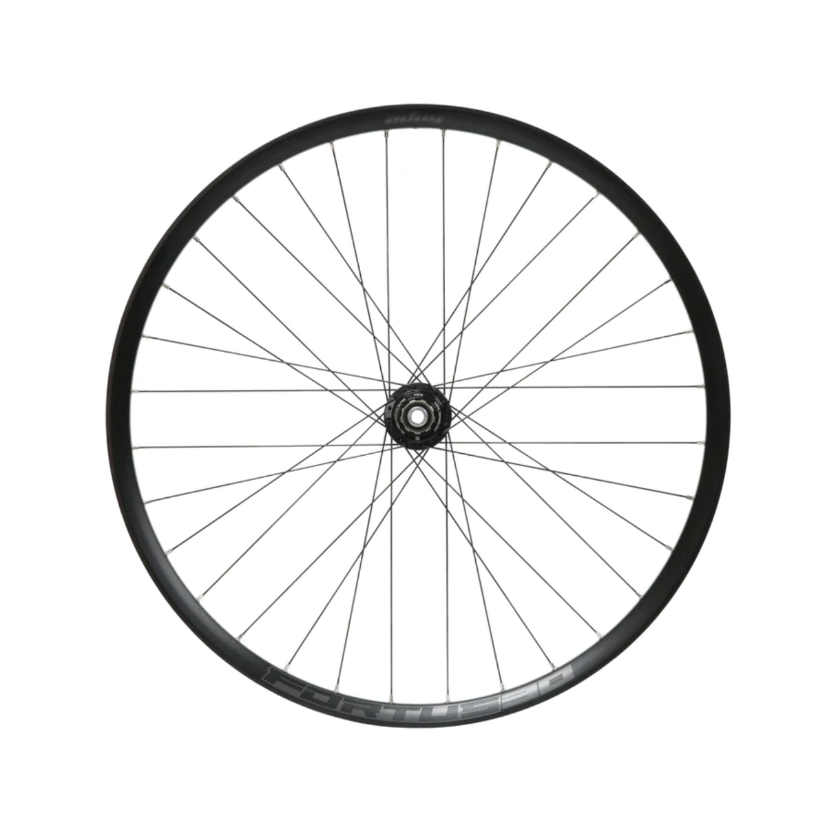 Fortus 30W Pro 5 E-Bike Disc Hinterrad 29 Zoll 12 x 148 mm Boost Shimano HG Stahl - Schwarz