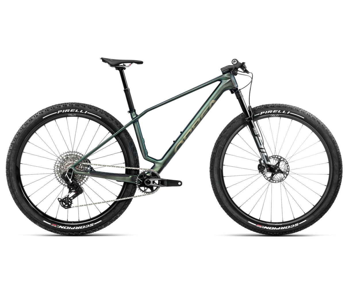 ALMA M-TEAM AXS - Seaweed Carbon View (Matt-Gloss)