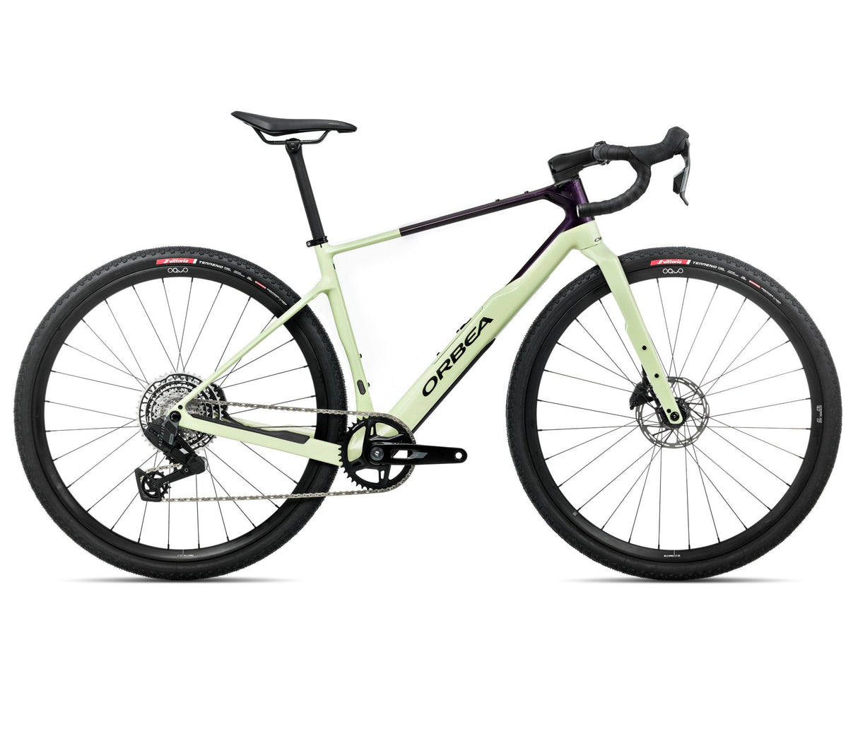 TERRA M31eTEAM 1X - Acid Gum - Fantasy Purple Carbon View (Gloss)