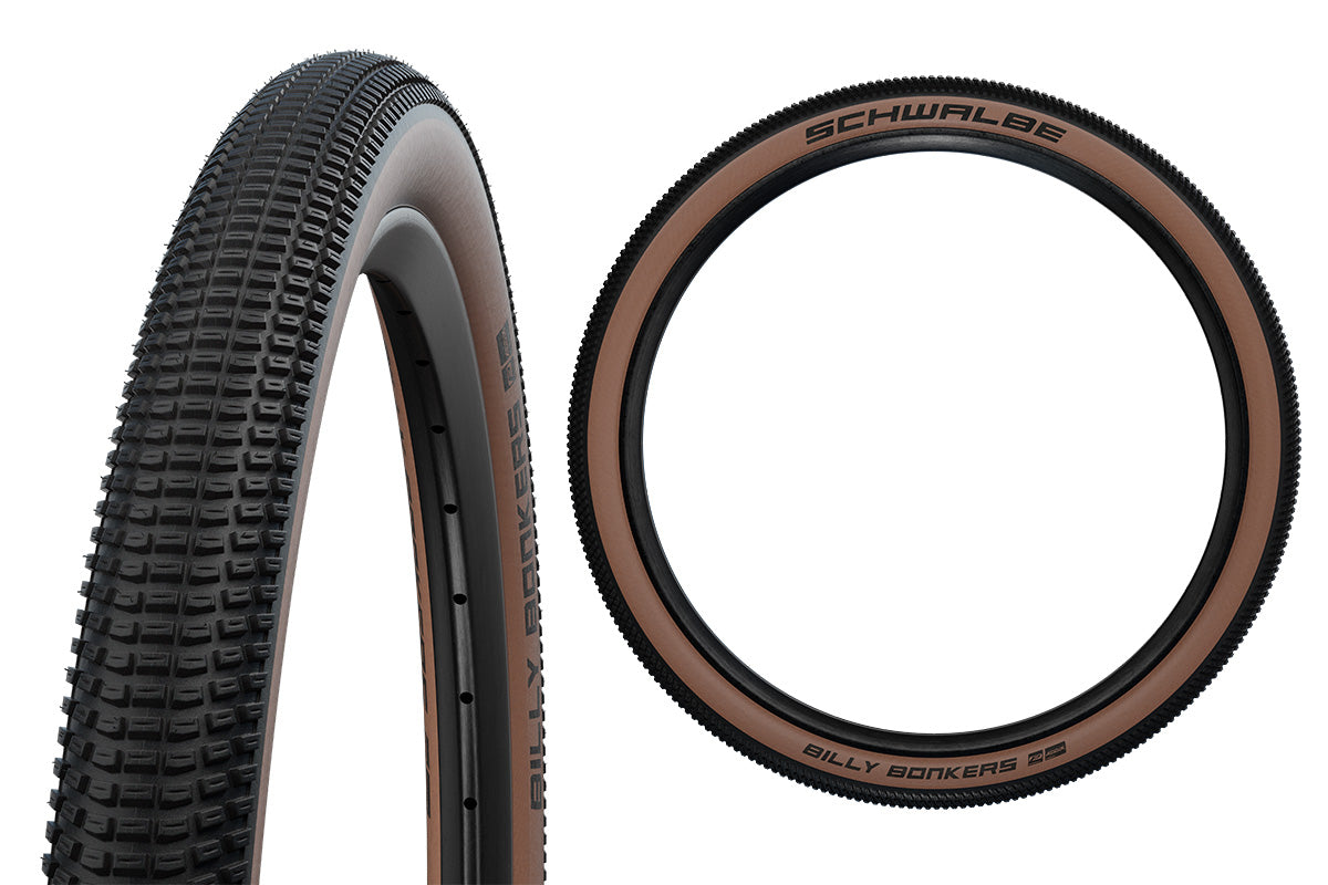 PIC_ZOOM_schwalbe-2515-bronze.