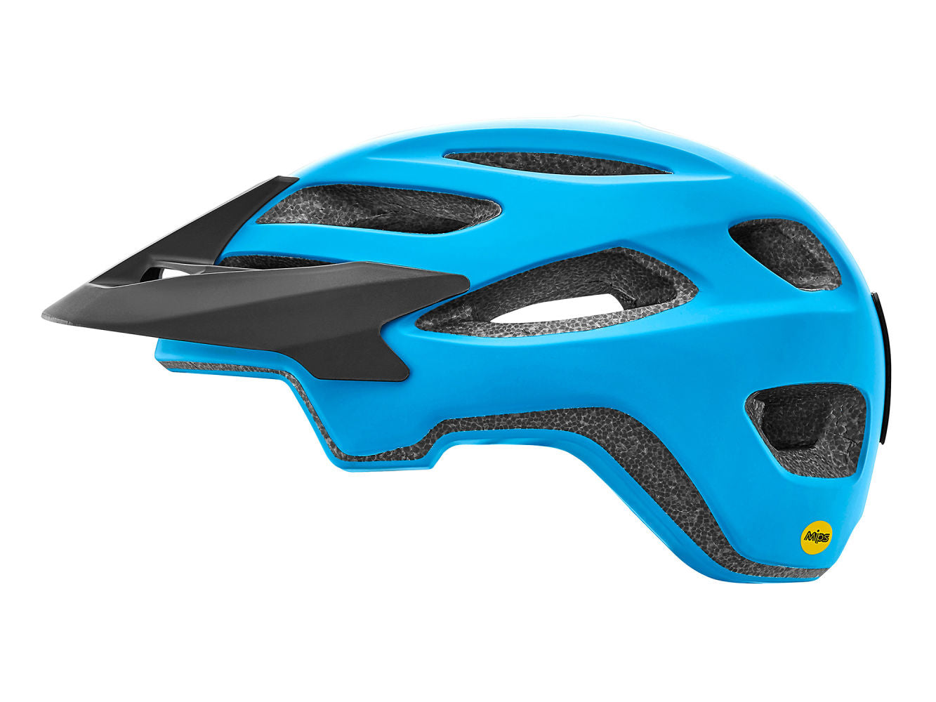 bike helmet giant Roost MIPS helmet blue matte