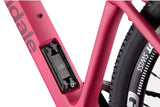 Topstone Carbon Apex AXS - Orchid