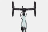Synapse Carbon 2 RLE Cool Mint