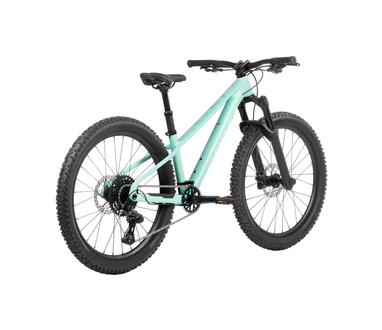 KIMU 24 H10 TR - Aloha Green