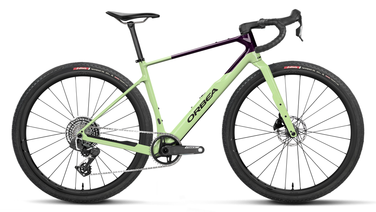 Terra M21e Team 1X - Acid Gum/Fantasy Purple Carbon View (Gloss)