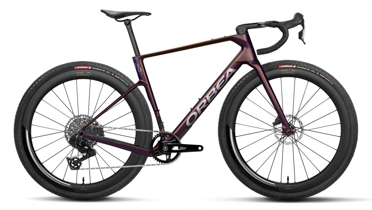 Terra Race M31e LTD 1X - Sunset Carbon View (Matt)