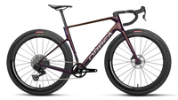 Terra Race M31e LTD 1X - Sunset Carbon View (Matt)