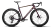 Terra Race M21e LTD 1X - Sunset Carbon View (Matt)
