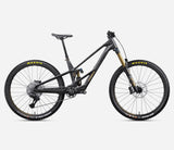 RALLON RS-TEAM - Fuel Carbon View/Magic Gold (Matt)