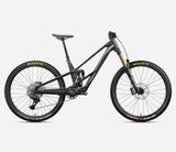RALLON RS-LTD - Fuel Carbon View/Magic Gold (Matt)