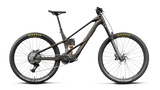 Wild LT M20 - Gold Carbon View (Matt(/Titan Gold (Gloss)