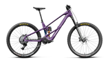 Wild LT M20 - Royal Plum/Noctiluca Carbon View (Gloss)