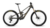 Wild LT M10 - Magic Gold Carbon View (Matt)/Titan Gold (Gloss)
