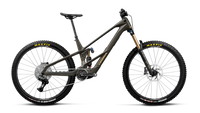 Wild LT M10 - Magic Gold Carbon View (Matt)/Titan Gold (Gloss)