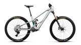 Wild LT M10 - Smooth Silver (Matt)/Escape Green Carbon View (Gloss)
