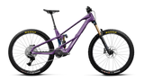 Wild LT M10 - Royal Plum/Noctiluca Carbon View (Gloss)
