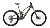 Wild LT M-Team RS - Magic Gold Carbon View (Matt)/Titan Gold (Gloss)