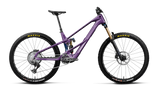 Wild LT M-Team RS - Royal Plum/Noctiluca Carbon View (Gloss)