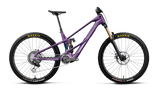 Wild LT M-LTD RS - Royal Plum/Noctiluca Carbon View (Gloss)