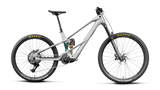 Wild LT M20 Mullet - Smooth Silver (Matt)/Escape Green Carbon View (Gloss)