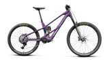 Wild LT M20 Mullet - Royal Plum/Noctiluca Carbon View (Gloss)