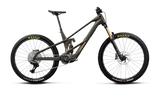 Wild LT M10 Mullet - Magic Gold Carbon View (Matt)/Titan Gold (Gloss)