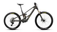 Wild LT M10 Mullet - Magic Gold Carbon View (Matt)/Titan Gold (Gloss)