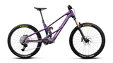 Wild LT M10 Mullet - Royal Plum/Noctiluca Carbon View (Gloss)