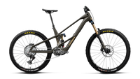 Wild LT M-Team RS Mullet - Magic Gold Carbon View (Matt)/Titan Gold (Gloss)