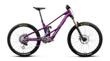 Wild LT M-LTD RS Mullet - Royal Plum/Noctiluca Carbon View (Gloss)