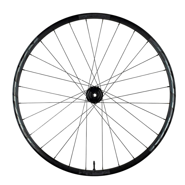 Aeffect R 30 E-MTB Hinterrad - 29 Zoll - Schwarz