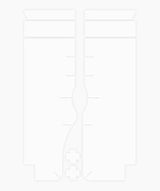 Gabelschutz Kit - Clear Gloss