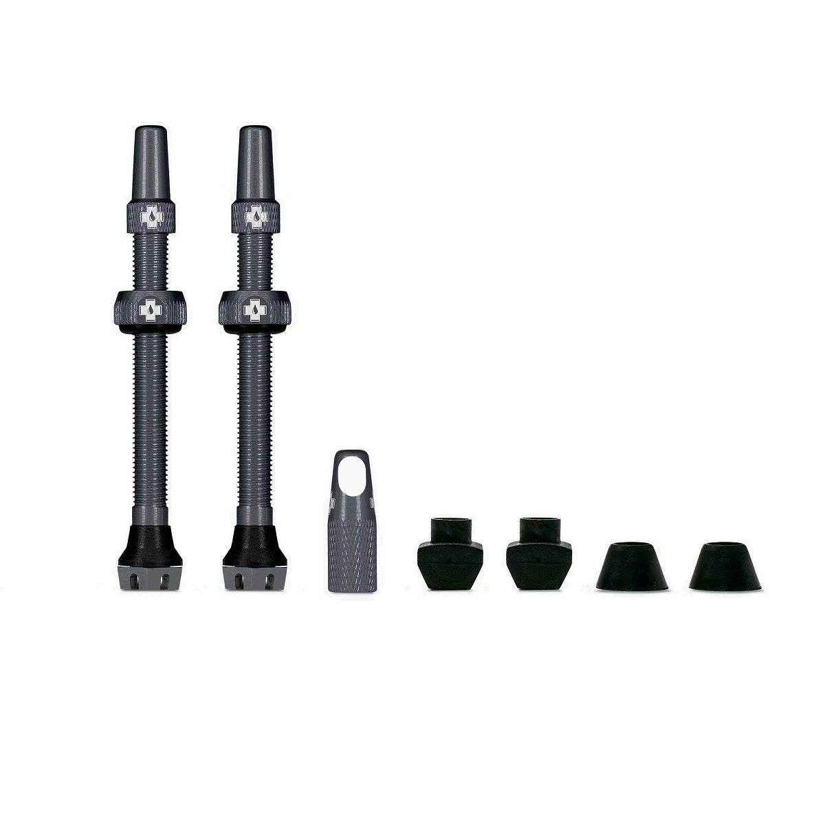 mountainbike ventilarten Ventile V2 für Tubeless Reifen - grau