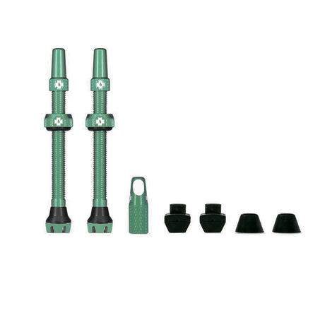 Ventile V2 für Tubeless Reifen - türkis - MTB & Road