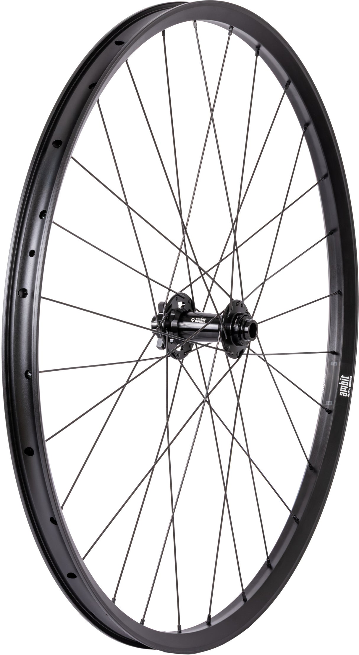 Realm Enduro 29" Aluminium VR, 6 Loch, 15x110 mm - schwarz