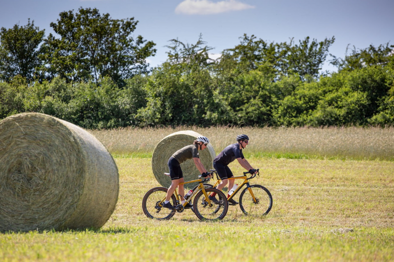 Gravel bikes Bikepacking durch Felder in Süd Deutschland