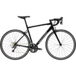 CAAD Optimo 2 Black Pearl