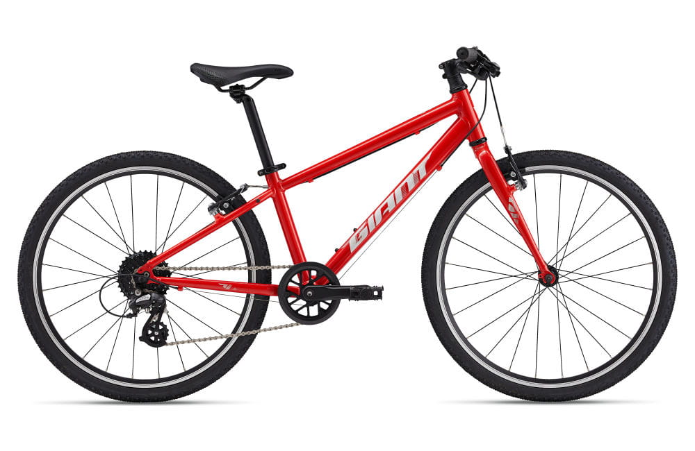 giant bicycles phoenix ARX 24 Phoenix Fire