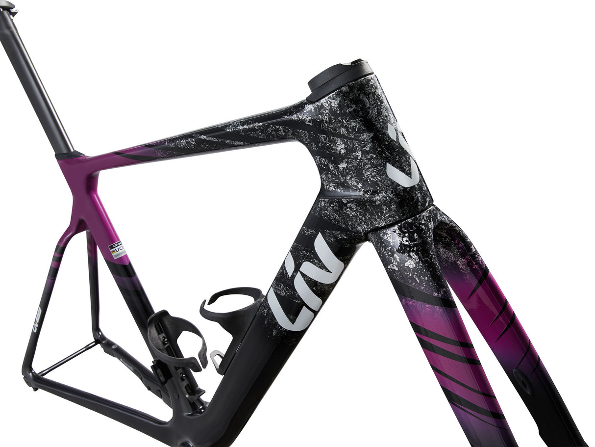 EnviLiv Advanced SL Rahmenset - Aubergine / Raw Carbon