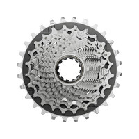 Cassette XG-1270 E1, 12 velocidades - plata / gris 