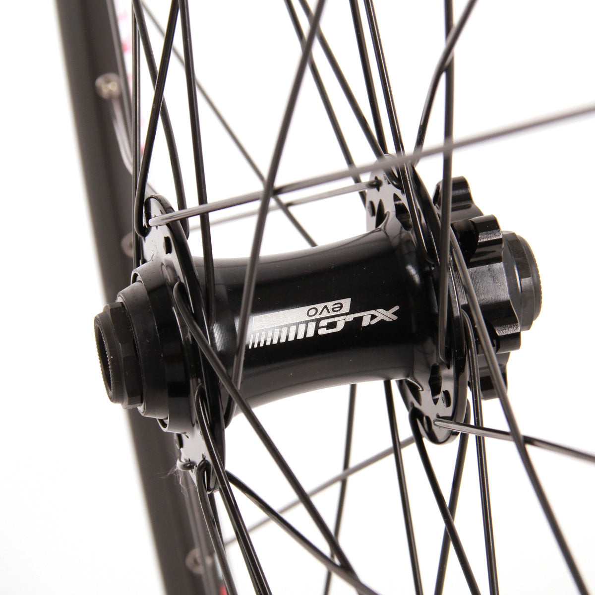DT-Swiss 466D 29 inch with XLC Evo hub front wheel - Black
