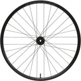 RX24 - Vorderrad - Pro 5 Disc - schwarz