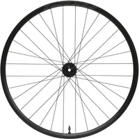 RX24 - Vorderrad - Pro 5 Disc - schwarz