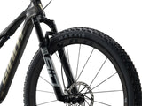 Anthem Advanced SL 0 - Raw Carbon